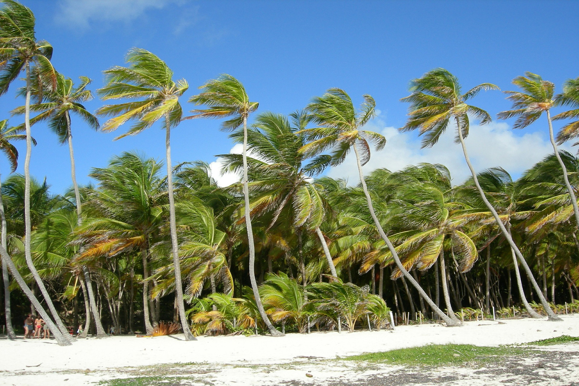 Martinique