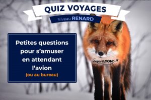 Lire la suite à propos de l’article Quiz Voyages – Niveau Renard ⭐⭐