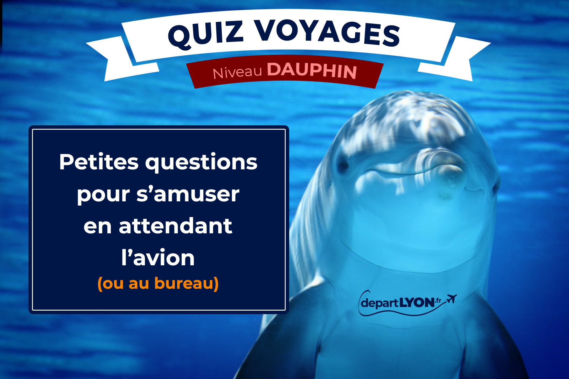 Lire la suite à propos de l’article Quiz Voyages – Niveau Dauphin ⭐⭐⭐